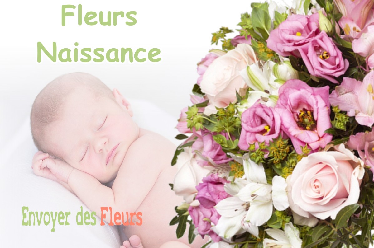 lIVRAISON FLEURS NAISSANCE à SACCOURVIELLE